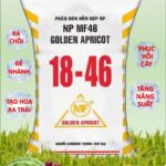 PHÂN BÓN HỖN HỢP NP MF46 GOLDEN APRICOT 18-46
