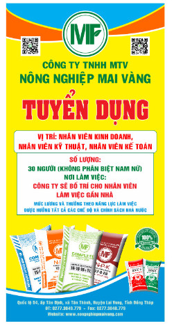 Dịch Vụ Đăng Ký Hộ Kinh Doanh Tại Đồng Tháp Trọn Gói, Uy Tín, Nhanh Chóng